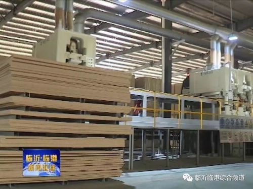 臨港企業 手握國內第一，海外建廠拓展全球市場