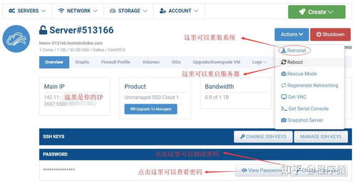2020年海外VPS云主機使用體驗與選擇指南 Vultr、Linode與搬瓦工對比